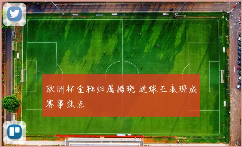 欧洲杯金靴归属揭晓 进球王表现成赛事焦点