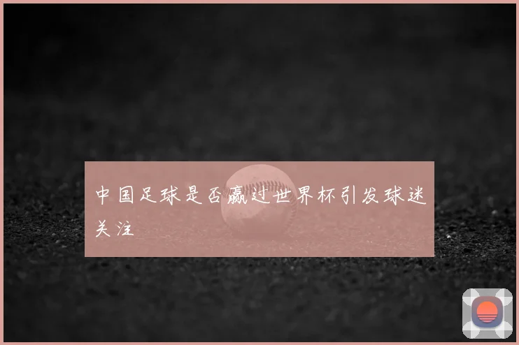 中国足球是否赢过世界杯引发球迷关注