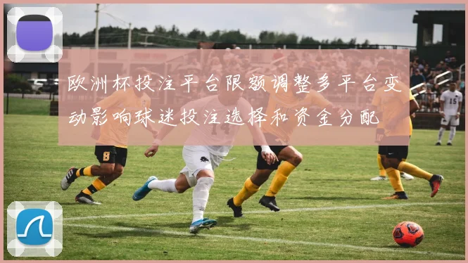 欧洲杯投注平台限额调整多平台变动影响球迷投注选择和资金分配