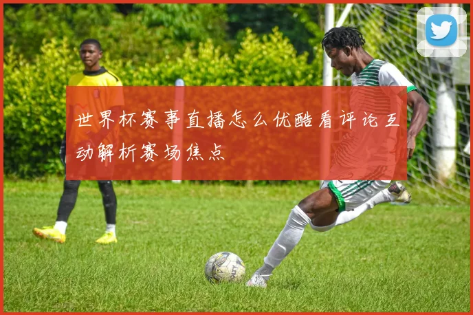 世界杯赛事直播怎么优酷看评论互动解析赛场焦点